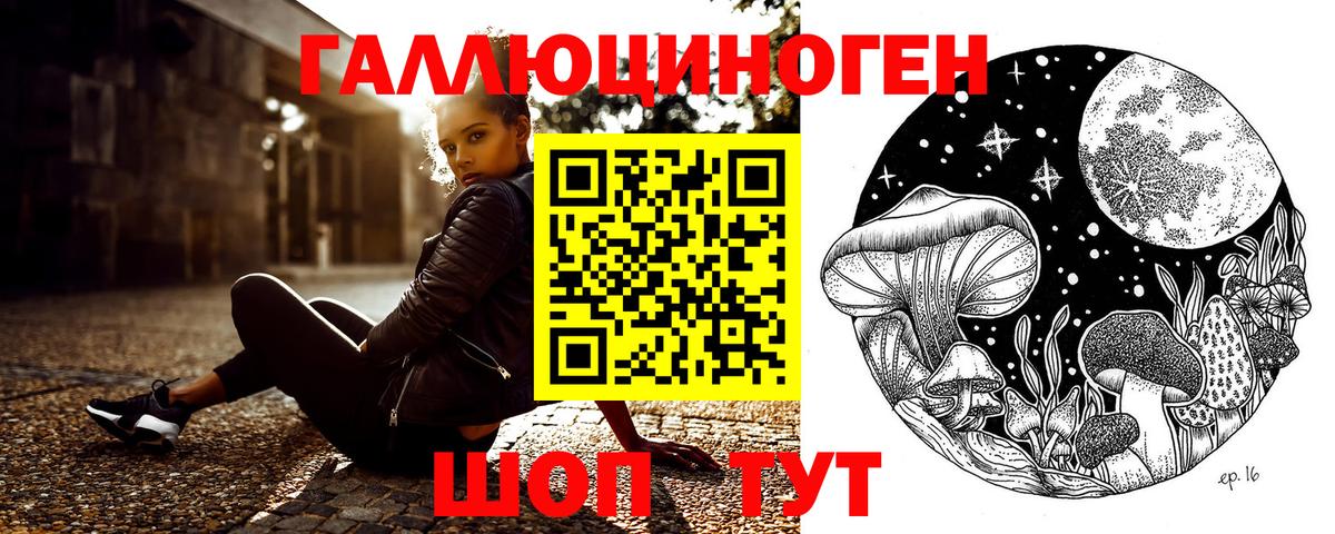 что такое   Вход с VPN  Котельники  Псилоцибиновые грибы ЛСД 